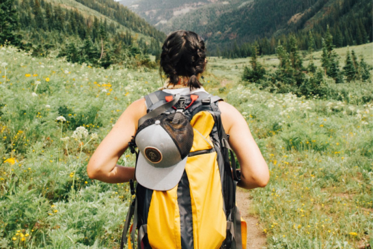 Joyaux des Vosges - Bonjour Alsace