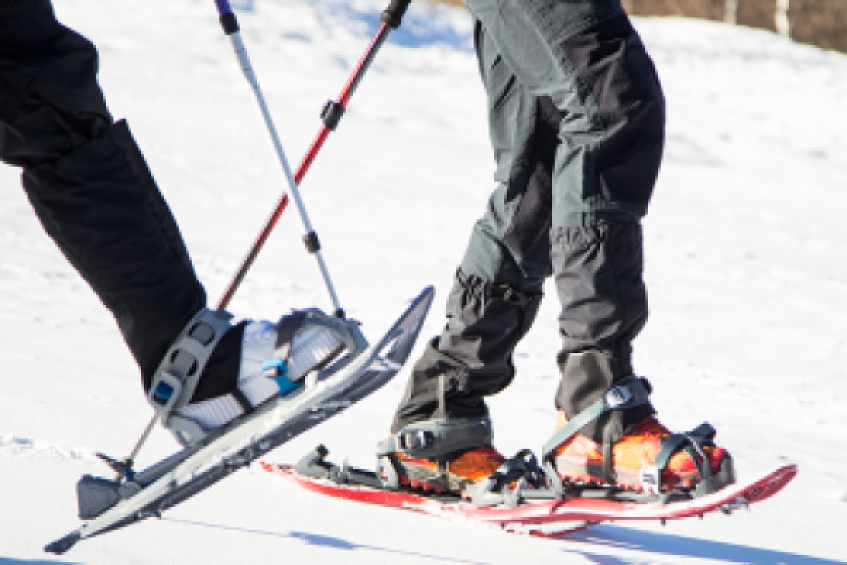 Journée en raquettes à neige au Feldberg - Bonjour Alsace