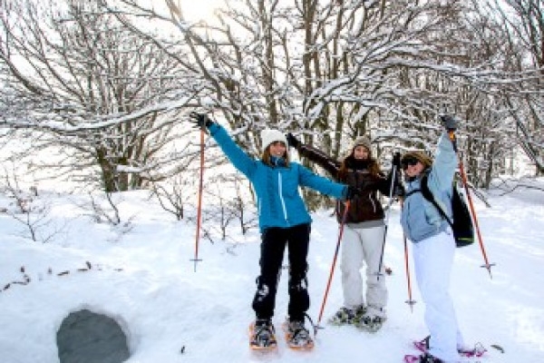 Journée en raquettes à neige et dîner en auberge - Bonjour Alsace
