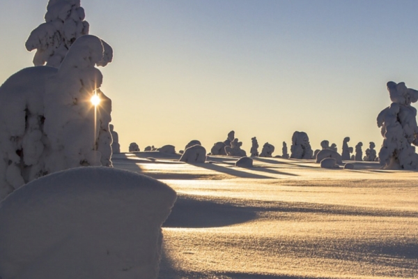 Journée en raquettes à neige privative au Gaschney - Bonjour Alsace