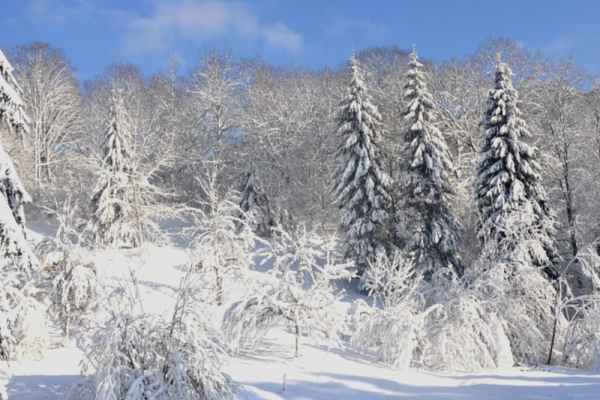 Journée raquettes à neige au Ballon Alsace - Bonjour Alsace