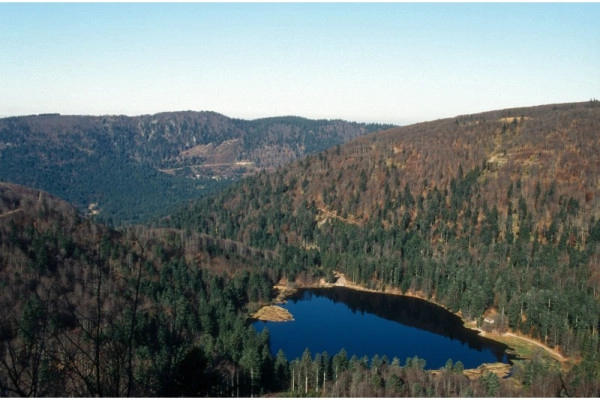 Journée raquettes à neige au Rothenbakopf - Bonjour Alsace