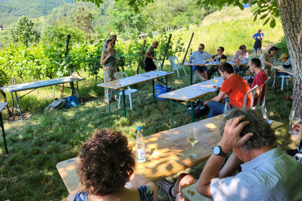 KIENTZHEIM #3 - Atelier Tournée des Terroirs - Impregnation sensorielle du Furstentum - Bonjour Alsace