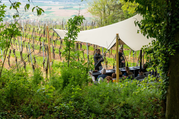 KIENTZHEIM #3 - Bonjour Alsace