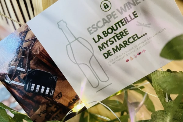 Bonjour Alsace | L'ESCAPE'WINE :  LA BOUTEILLE MAGIQUE DE NOËL...