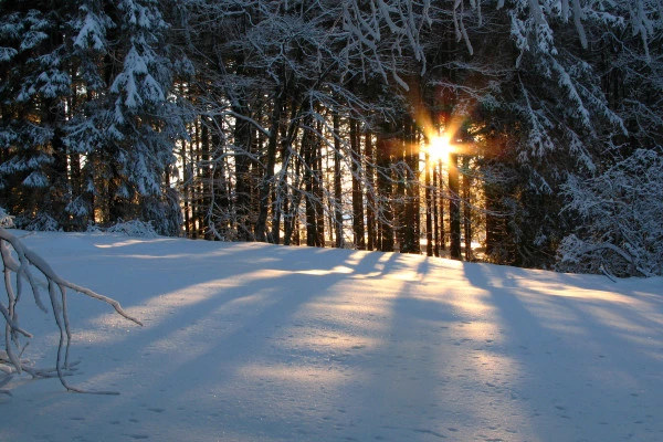 Le Champ du Feu en raquettes à neige - Bonjour Alsace