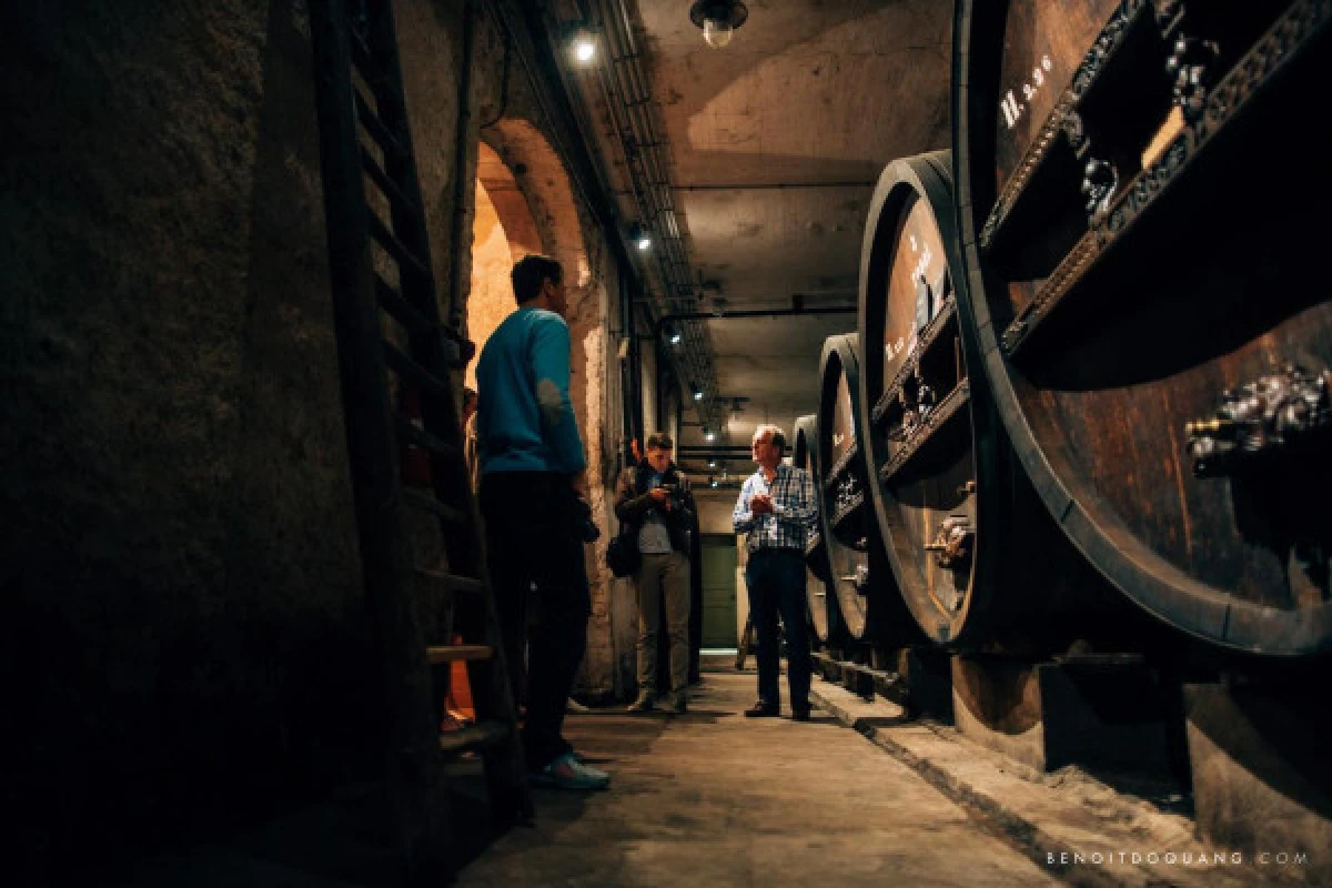 Cave à vin