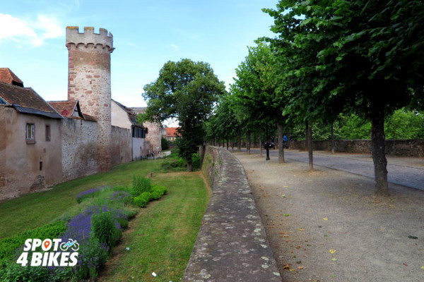 Bonjour Alsace | L’ALSACE EN E-BIKE : Le jardinier