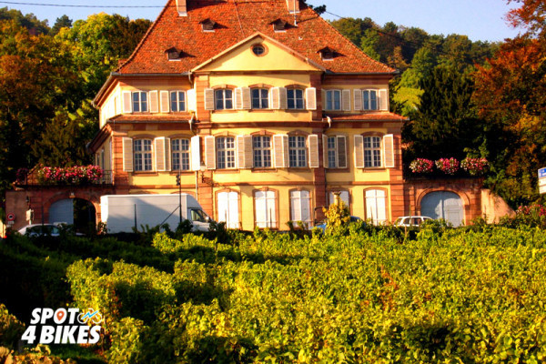 Bonjour Alsace | L’ALSACE EN E-BIKE : Le jardinier