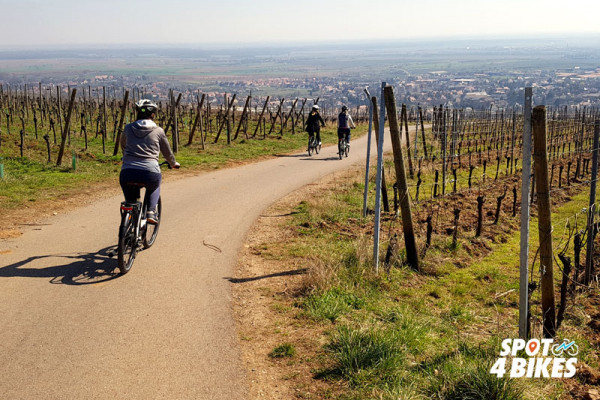Bonjour Alsace | L’ALSACE EN E-BIKE : Le jardinier