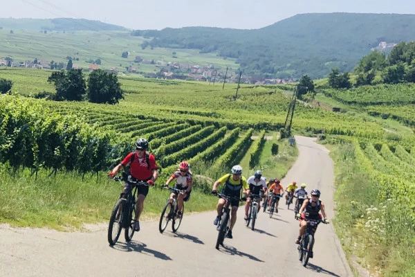 Les Perles et les Routes du Vignoble d’Alsace - Bonjour Alsace