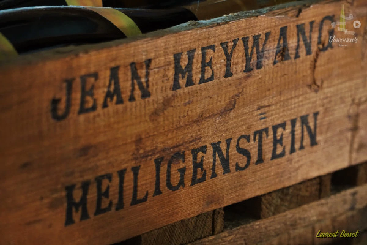 Les Sens du Vin - Bonjour Alsace