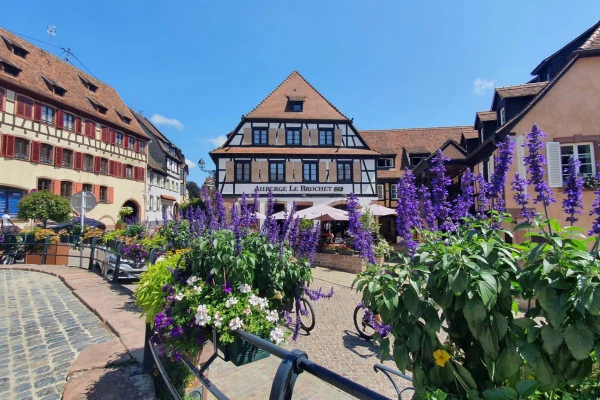 Bonjour Alsace | Les Perles et les Routes du Vignoble d’Alsace