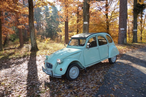 Location 2 CV à la journée - Bonjour Alsace