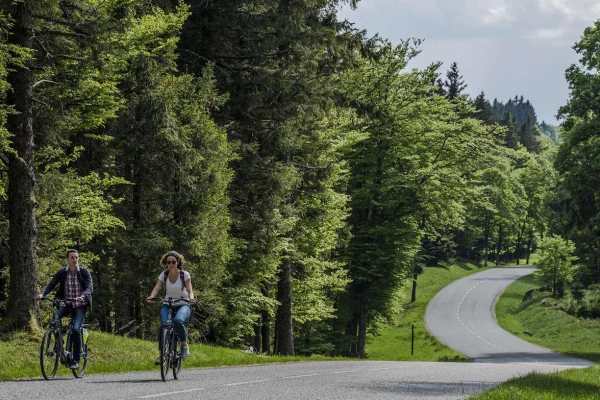 Location de vélos à assistance électrique - Bonjour Alsace