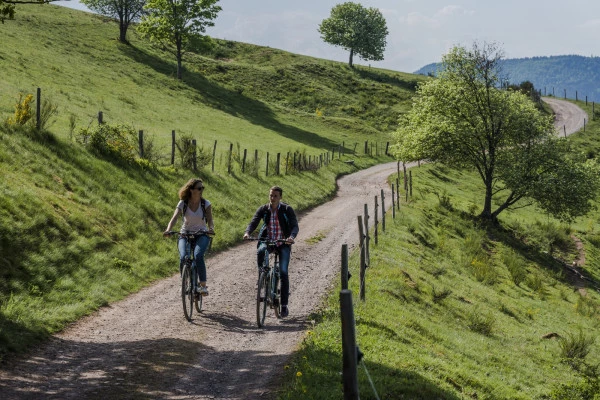 Location de vélos à assistance électrique - Bonjour Alsace