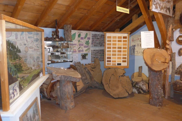 Bonjour Alsace | Musée des métiers du bois : Visite guidée
