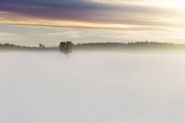 Balade le Jour de l'An au Champ du Feu - Bonjour Alsace