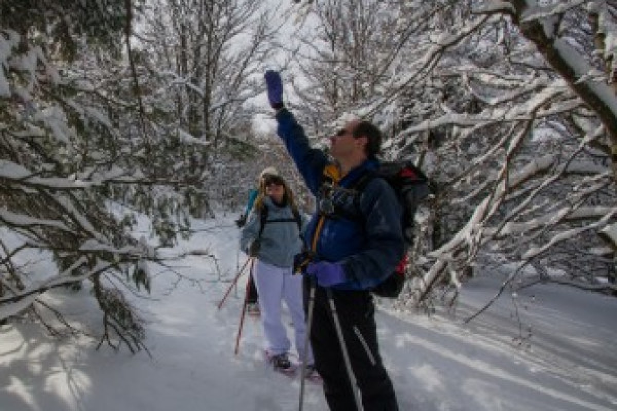 Nouvel An au Lac Blanc avec dîner - Bonjour Alsace