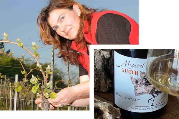 Bonjour Alsace | Osez le vin au féminin - Découverte
