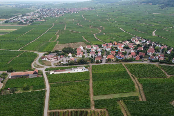 Bonjour Alsace | Osez le vin au féminin - Découverte
