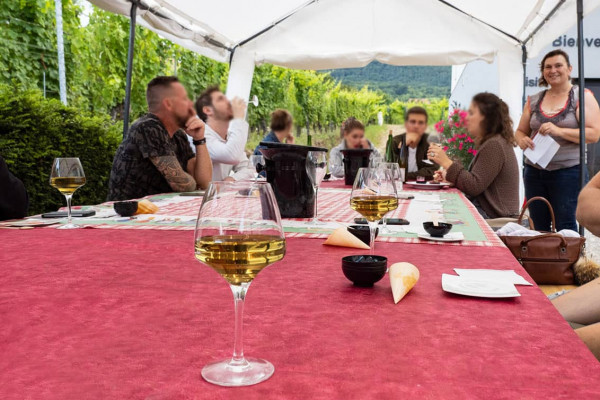 Bonjour Alsace | Osez le vin au féminin - Pique-Nique VIP