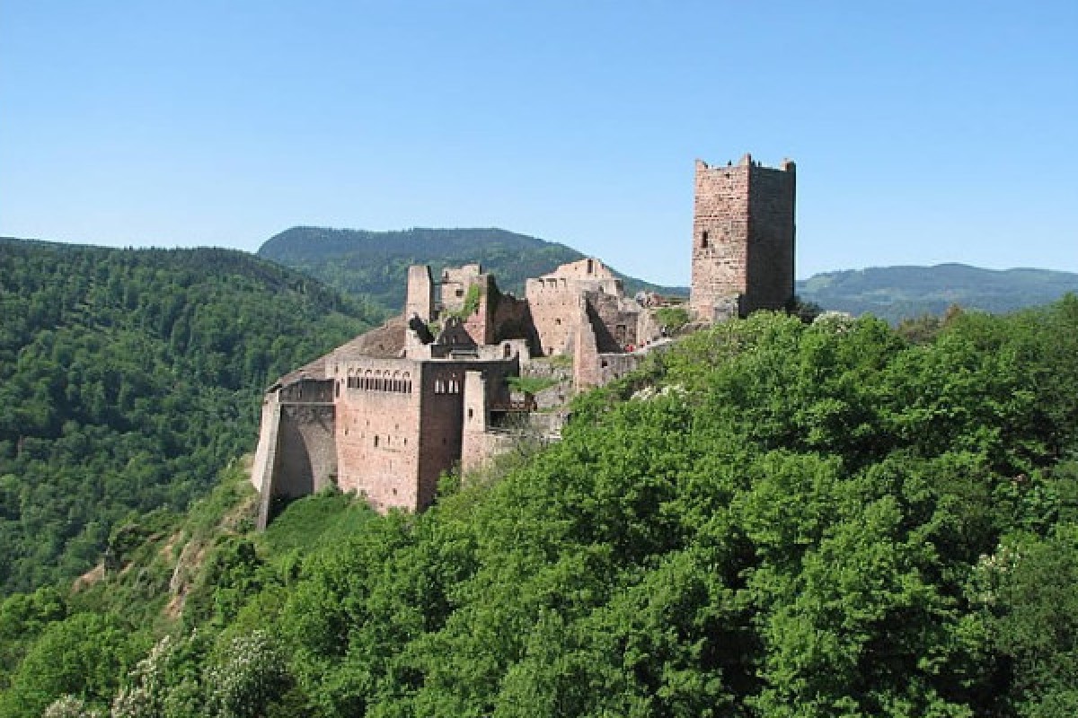 Palais royales- les Chateaux Ribeauvillé - Bonjour Alsace