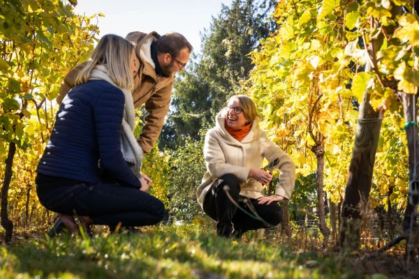 Parenthèse Vigneronne 'fromages et Grands Crus' - dégustation - Bonjour Alsace