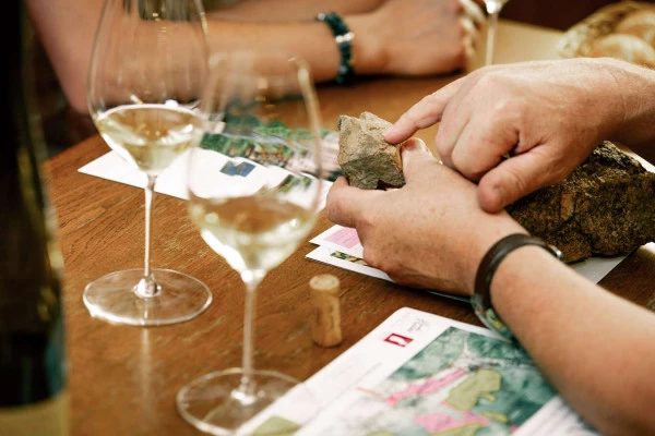Parenthèse Vigneronne 'les terroirs de Grands Crus' - dégustation - Bonjour Alsace