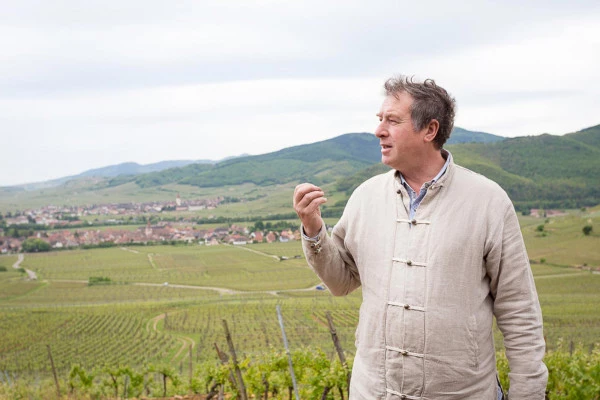 Bonjour Alsace | Parenthèse Vigneronne 'Qi Gong dans les vignes' - dégustation