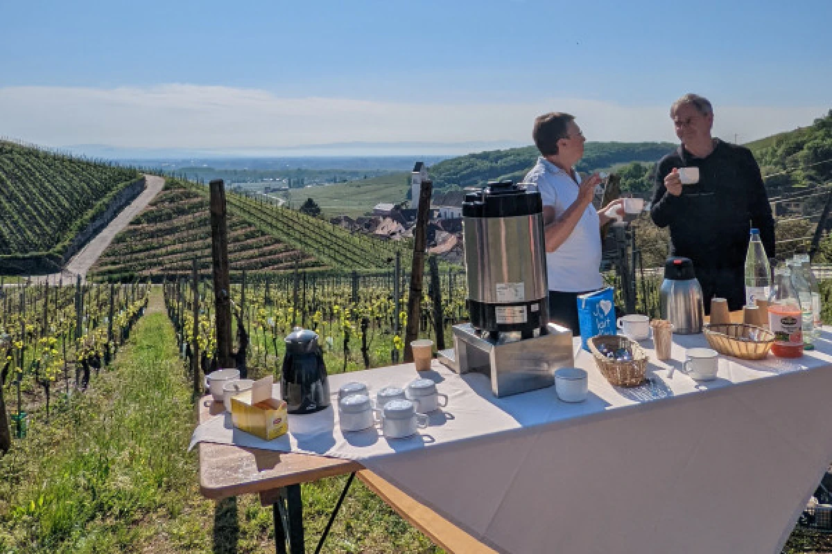 Petit déjeuner dans les Vignes ! - Bonjour Alsace