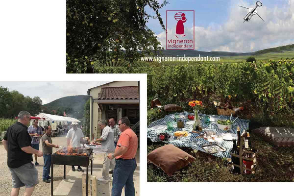 Bonjour Alsace | Pique-Nique chez le Vigneron Indépendant - 27ème édition