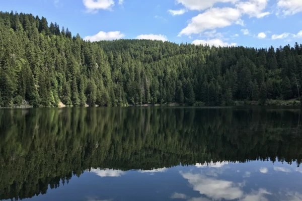 RALLYE DÉCOUVERTE DES LACS VOSGIENS - Bonjour Alsace