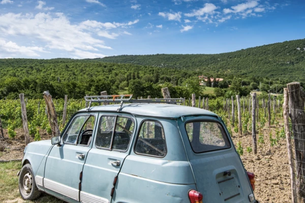 RALLYE ROUTE DES VINS D'ALSACE - Bonjour Alsace