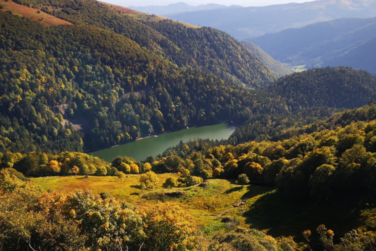 Randonnée à la découverte des animaux - Bonjour Alsace
