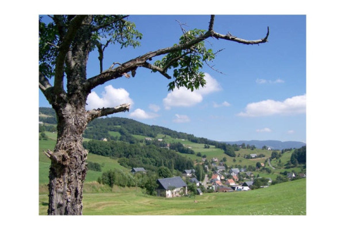 Randonnée au pays Welche - Bonjour Alsace