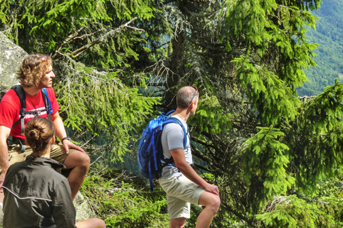 Randonnée et Qi Gong dans les Vosges - Bonjour Alsace