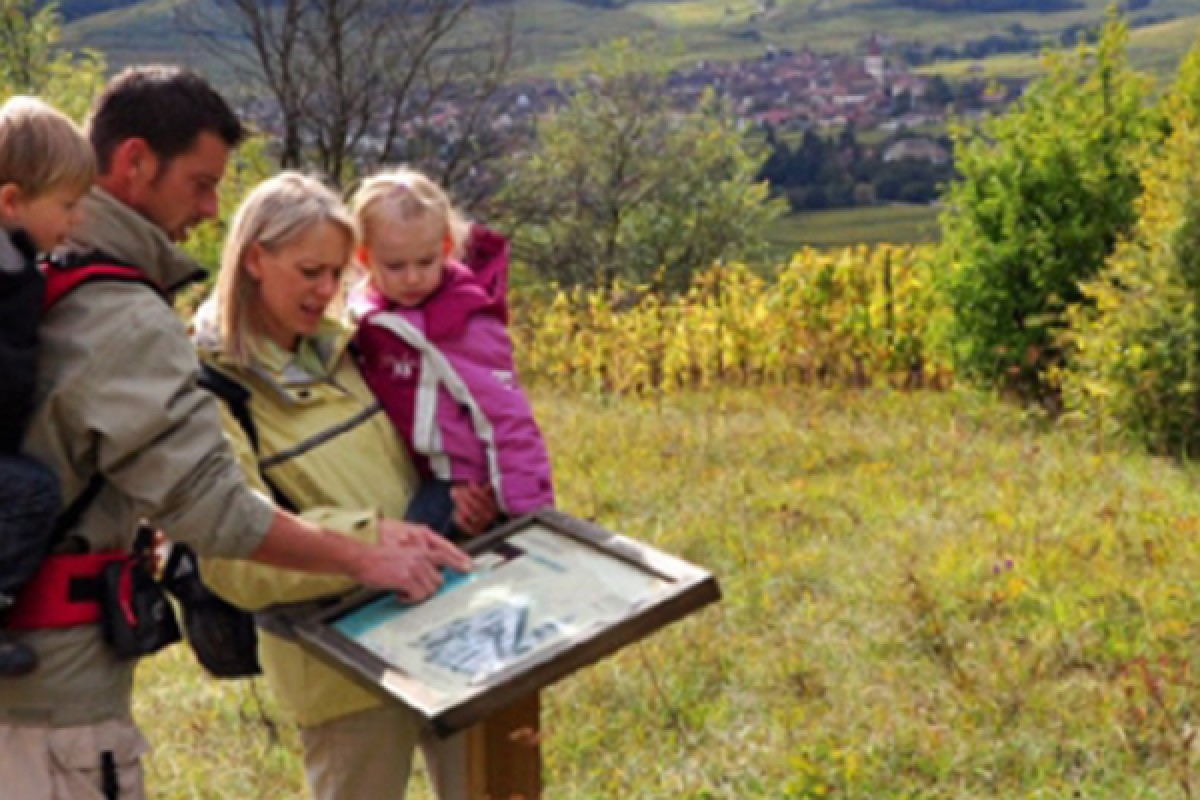 Randonnée médiévale - Bonjour Alsace