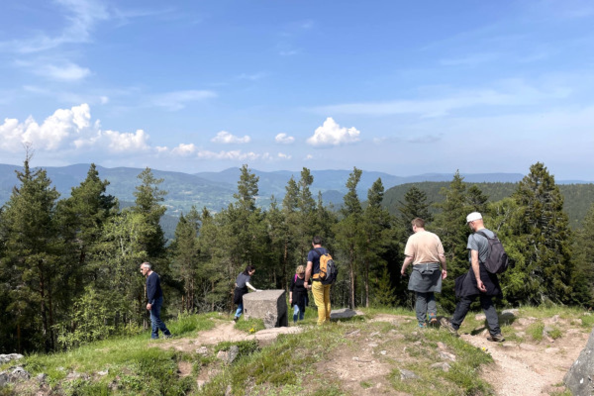 Randonnées guidées du champ de bataille du Linge - Bonjour Alsace