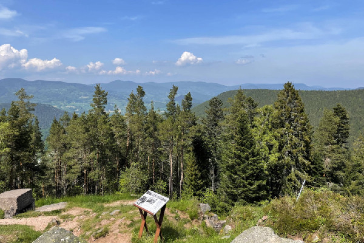 Visite guidée du champ de bataille du Linge - Bonjour Alsace