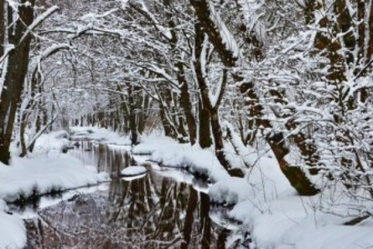 Raquettes à neige à la cascade Bruscher - Bonjour Alsace