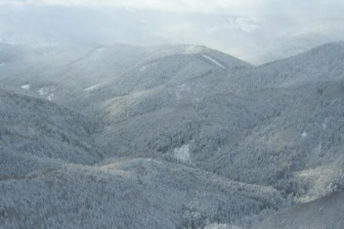 Raquettes à neige au chaume du Gresson - Bonjour Alsace