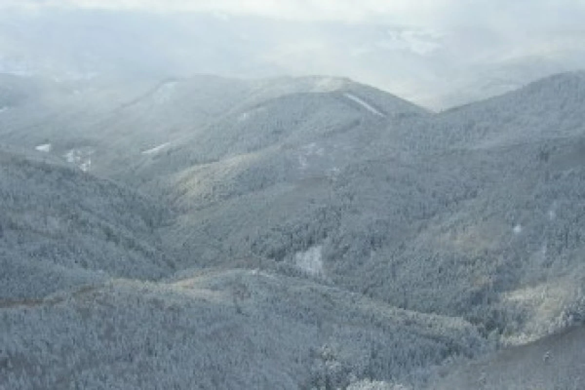 Raquettes à neige au chaume du Gresson - Bonjour Alsace