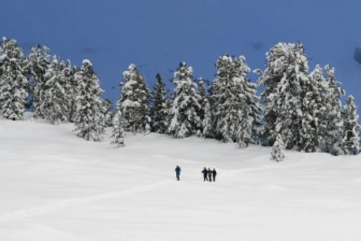 Raquettes à neige au Lac de la Lauch - Bonjour Alsace