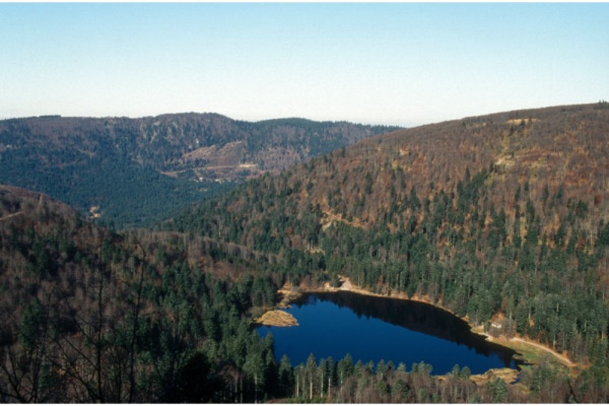 Raquettes à neige au Rothenbakopf - Bonjour Alsace