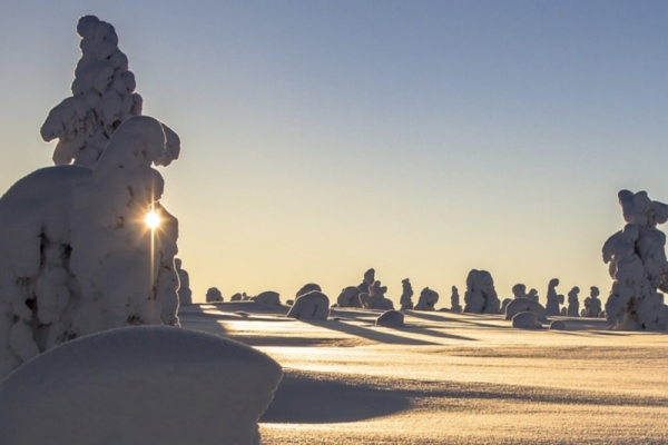 Raquettes à neige découverte à Gérardmer - Bonjour Alsace