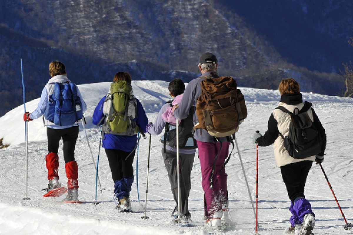 Raquettes à neige découverte du Feldberg - Bonjour Alsace