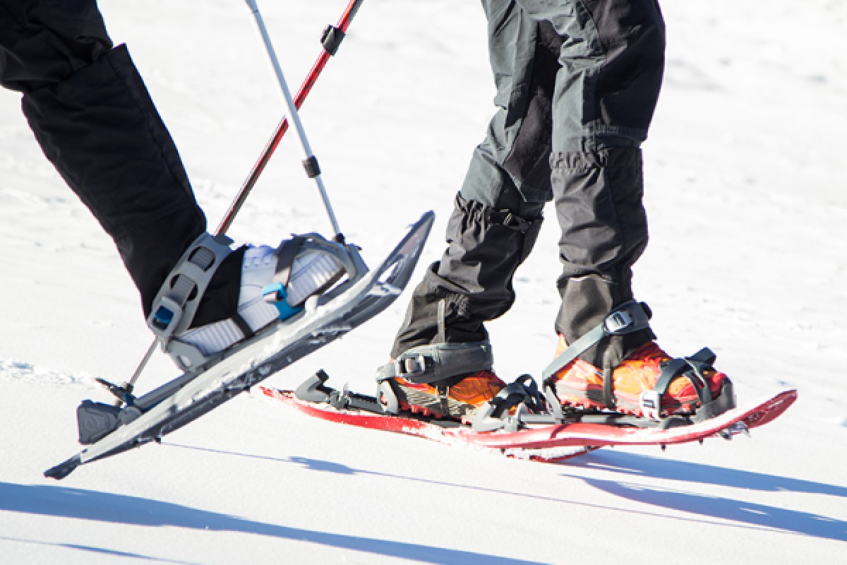 Raquettes à neige découverte du Feldberg - Bonjour Alsace