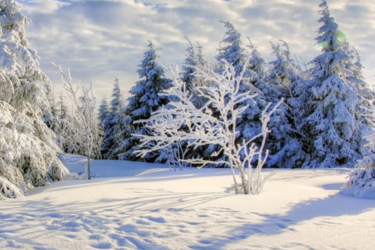Raquettes à neige découverte du Gaschney - Bonjour Alsace