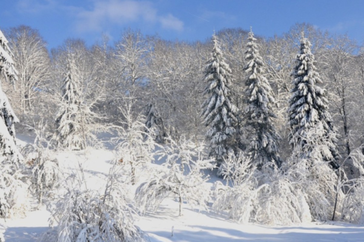 Raquettes à neige du Ballon Alsace - Bonjour Alsace